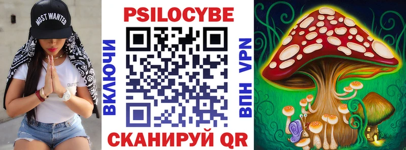 darknet как зайти  хочу наркоту  Бакал  Галлюциногенные грибы Psilocybine cubensis 